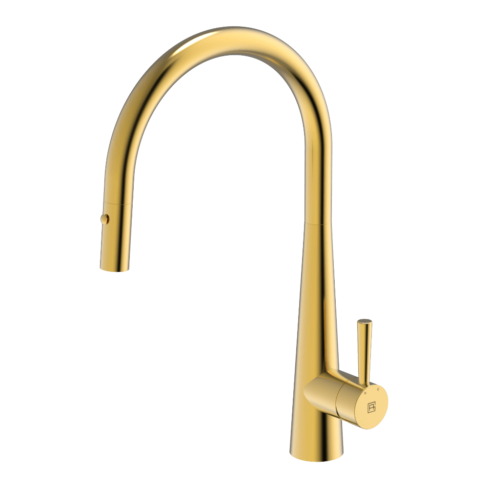 Gareth Ashton 304 Gooseneck Pull Out with Dual Spray Function Kitchen Mixer
