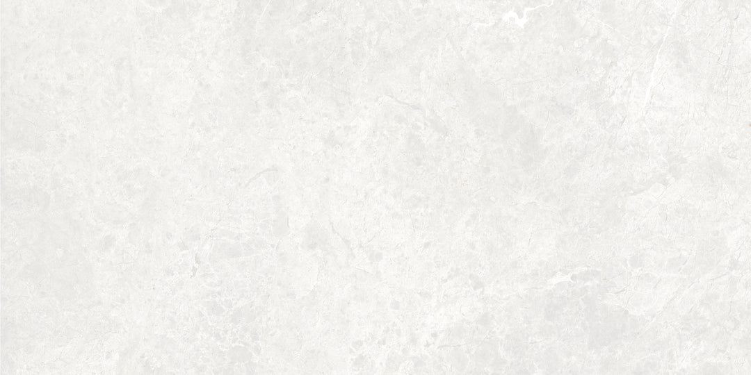 The Modena Porcelain Matte Tile Collection