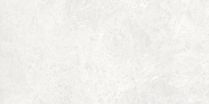 The Modena Porcelain Matte Tile Collection