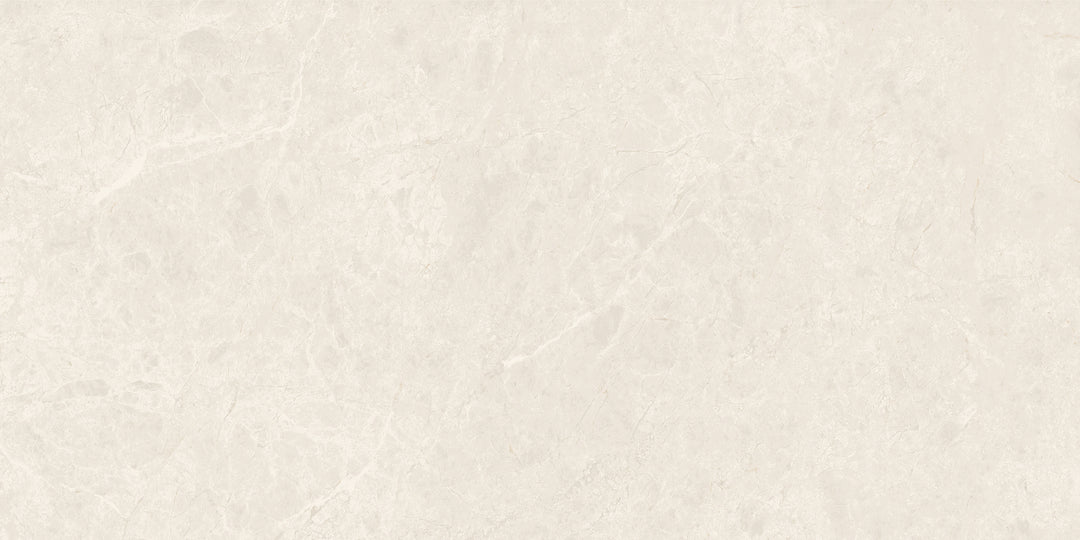 The Modena Porcelain Matte Tile Collection