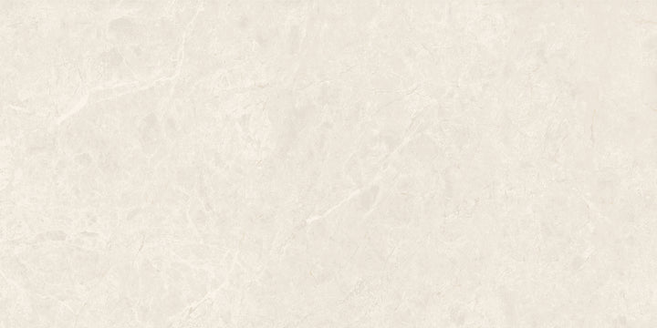 The Modena Porcelain Matte Tile Collection