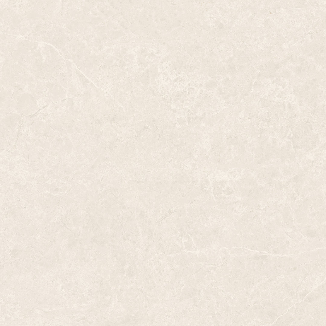 The Modena Porcelain Matte Tile Collection