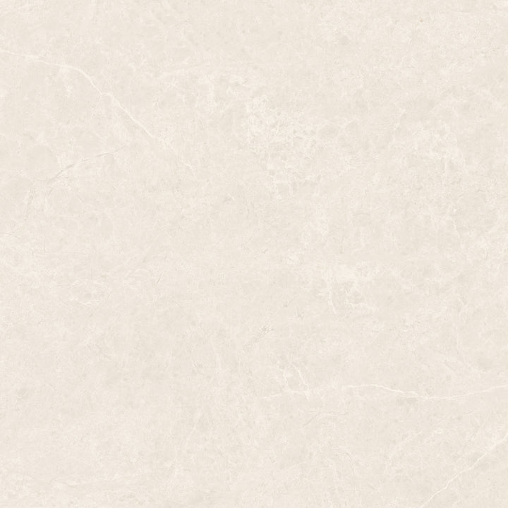 The Modena Porcelain Matte Tile Collection