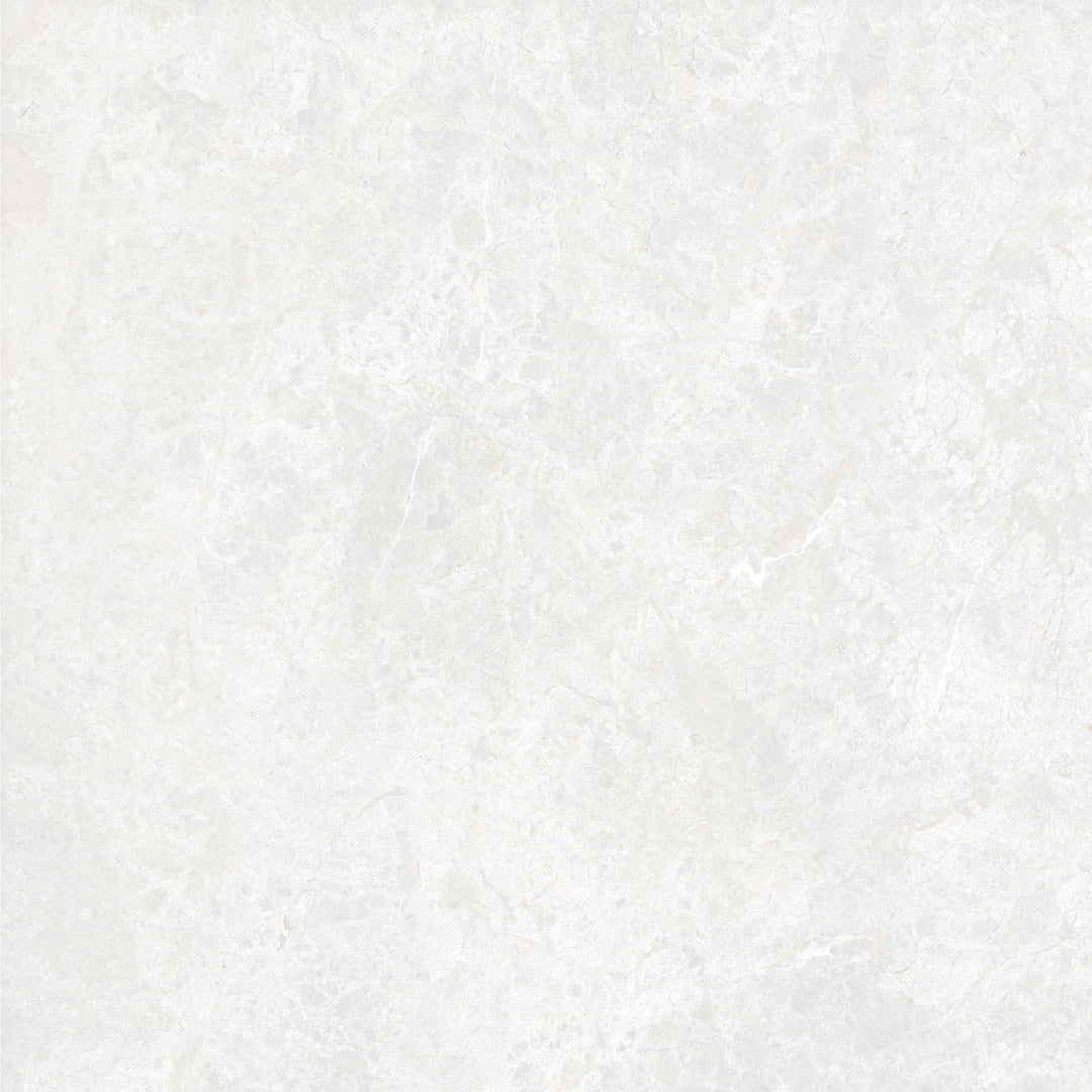 The Modena Porcelain Matte Tile Collection