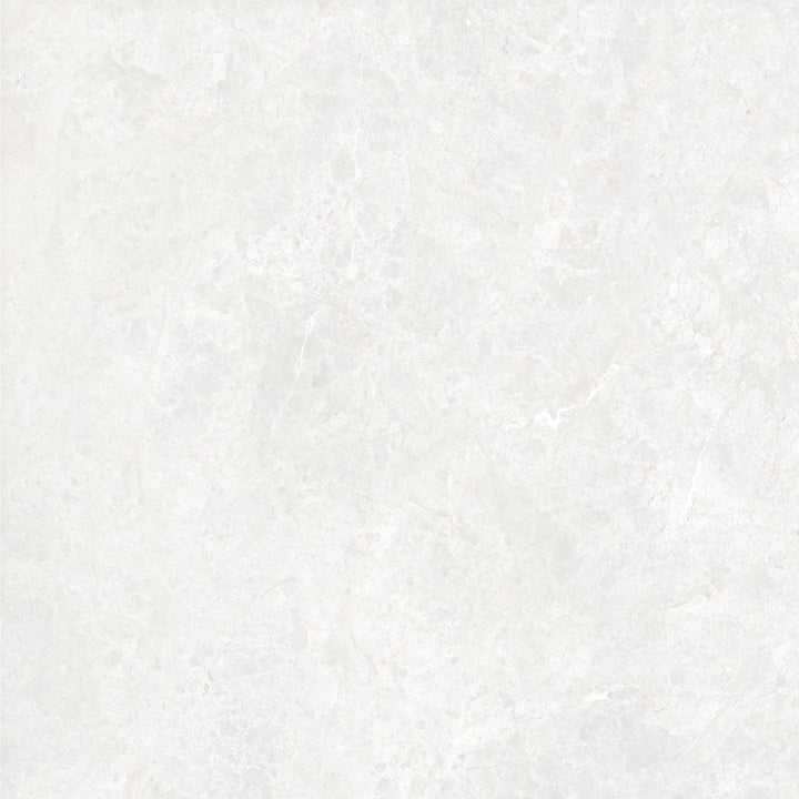 The Modena Porcelain Matte Tile Collection
