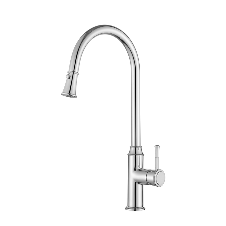 Modern National Montpellier Pull-Out Kitchen Mixer