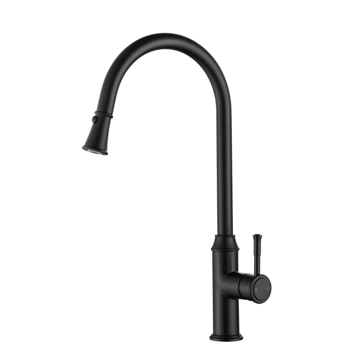 Modern National Montpellier Pull-Out Kitchen Mixer