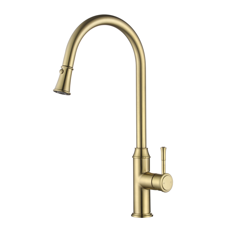 Modern National Montpellier Pull-Out Kitchen Mixer