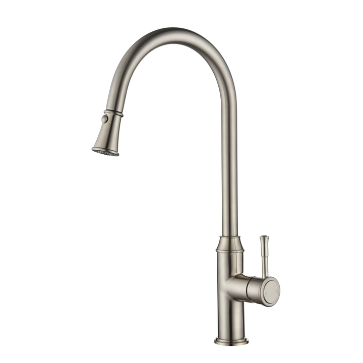 Modern National Montpellier Pull-Out Kitchen Mixer