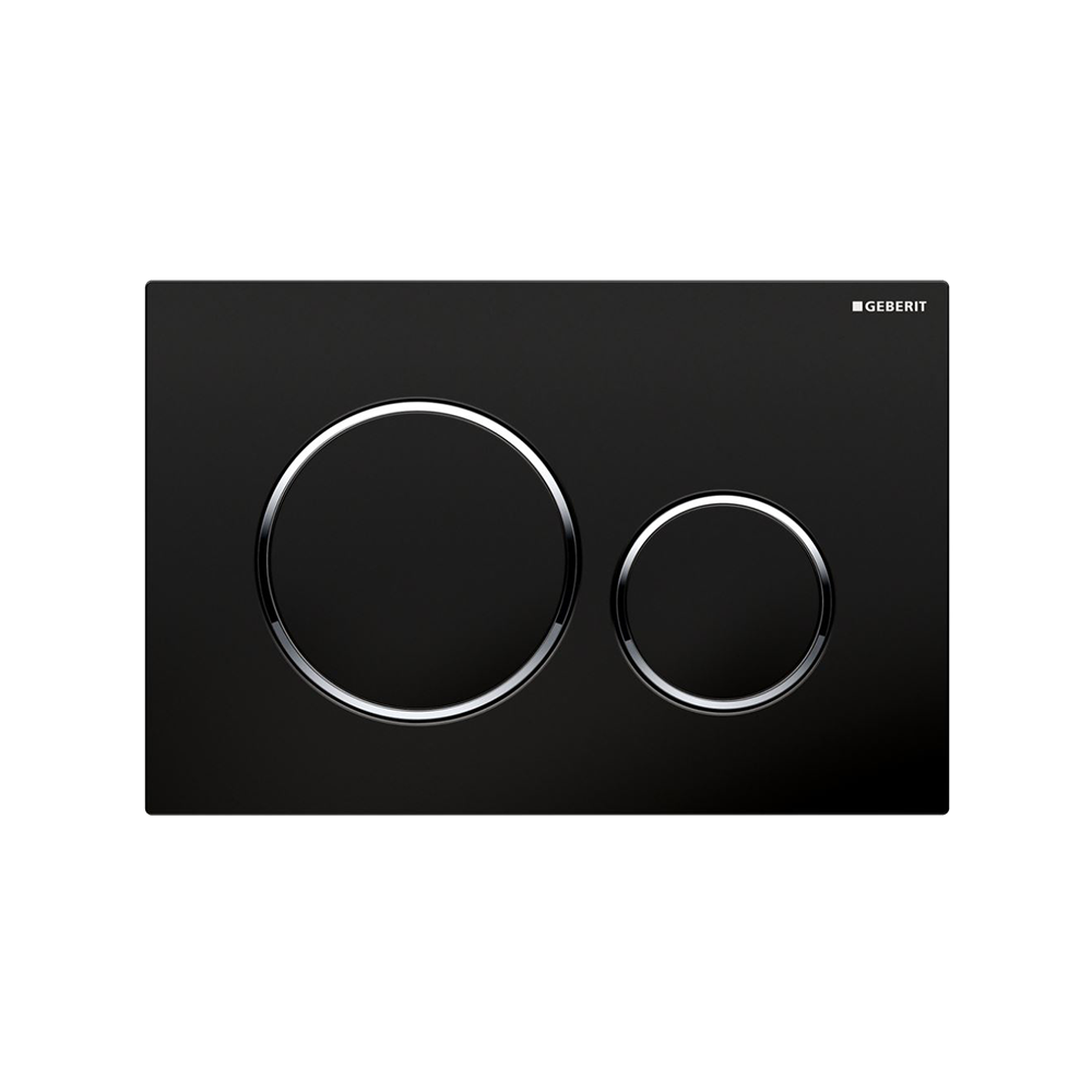 Geberit Concealed Cistern Flush Plate with Round Buttons