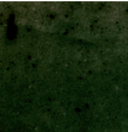 Look Olivia Glazed Porcelain Tiles