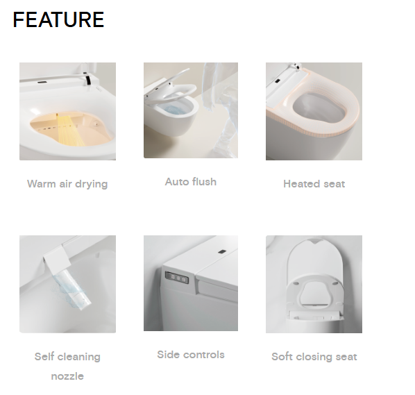 Lafeme Crawford Smart Toilet