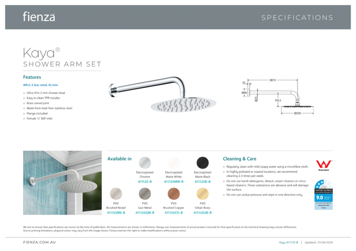 Fienza Kaya Shower Arm Set