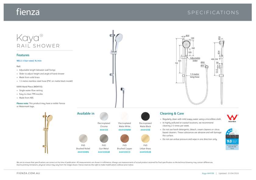 Fienza Kaya Rail Shower