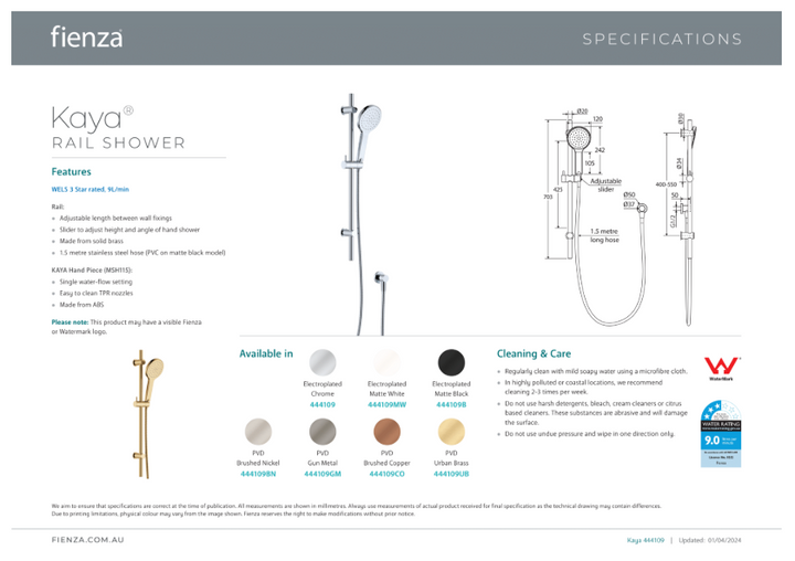 Fienza Kaya Rail Shower