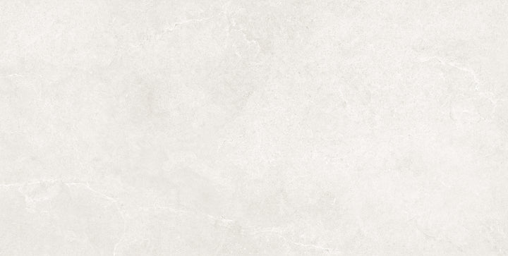 The Verona Plus Porcelain Matte Tile Collection